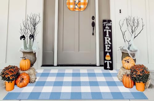 Light Blue White Outdoor Rug