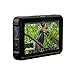 Atomos Shinobi 5.2