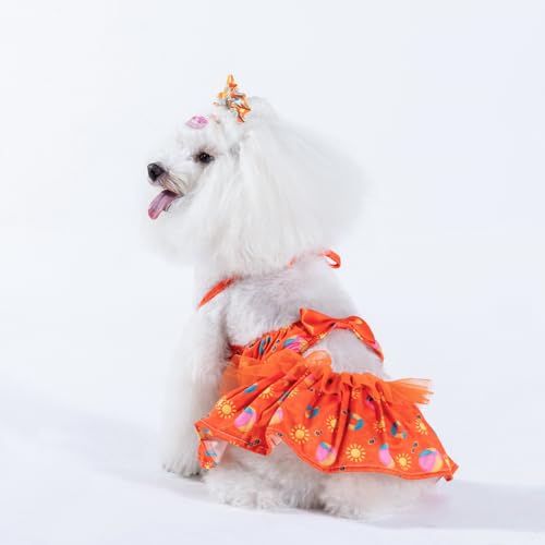 Image of CuteBone One Piece Dog Bikini Swimsuit Dress - Puppy Bathing Suit Costume for Small Dogs - Comfortable & Stylish Pet Clothes for Summer Pool, Beach & Play LTDB05XXS