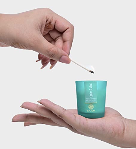 Image of EKAM Cedar & Mint Votive Soy Wax Scented Candle, 40 Grams, 10 Hours Burn Time| Long Lasting Premium Candles | Ideal for Home Decor | Gifting & Aromatherapy (Pack of 12)