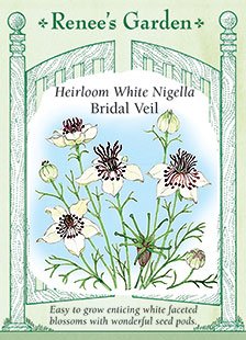 Nigella - White Bridal Veil Seeds Nigella - White Bridal Veil Seeds