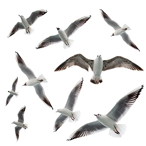 Vinilos Decorativos 3D Gaviotas Adhesivas de Pared miniatura 7