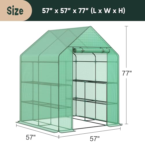 LEMY Mini Walk-in Greenhouse 2-Tier 8-Shelf Indoor Outdoor Plant Gardening Green House w/PE Cover for Garden, Backyard L57×W57×H77 - Thumbnail 3