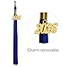 GraduationMall Unisex Adult Matte Graduation Cap with 2026 Tassel Royal Blue