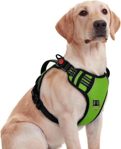 Image of No Pull Dog Chest Belt Harness, Comfortable & Adjustable Size for 14-23 Kg Pet (Green, Medium)