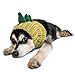 Zoo Snoods Dinosaur Dog Costume - Neck and Ear Warmer Headband Protector (Medium)
