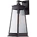 Maxim 3045RPOLB Schooner Ripple Glass Outdoor Wall Sconce, 1-Light 60 Watt, 20"H x 8"W, Olde Brass