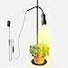 Twaray Altezza Regolabile Zoomable 10w LED LED Grow Light con 3/6 / 12h Timer Desktop Floor 5 Step Lampada A Crescita Full Spettro A Schermo Intero