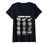 fossiles dévoniens, période dévonienne, âge des poissons, fossiles préhistoriques, vie marine ancienne, dunkleosteus, fossile trilobite, fossile ammonoïde, fossile crinoïde, ère paléozoïque, art de la paléontologie, illustration fossile, fossiles scientifiques, fossiles de plantes anciennes