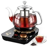 KaiPine Glass Electric Tea Kettle with Infuser & Temperature Control, 0.8L Fast Boiling Quiet Kettle, Keep Warm & Adjustable Power, Black for Kitchen & Office