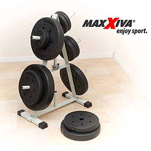 Foto von MAXXIVA Hantelscheiben-Set Zement 2 x 15 kg Ersatzgewichte für Muskelaufbau Krafttraining Fitness-Zubehör Gewichtheben Gewichtsscheiben 30 kg