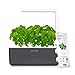 Click and Grow Smart Garden 3 Indoor Gardening Kit (Includes Basil Capsules), Gray