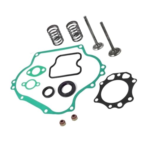 Kit de reconstrucción FE290 para Club Car DS y Precedent 1016447