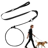 Deux-en-un, facile à porter : Laisse et collier Laisse De Dressage pour Chien sont combinés, éliminant ainsi le besoin d'un collier/harnais séparé. Deux arrêts s'adaptent à différentes tailles de cou et s'enfilent et se retirent facilement, pour un confort optimal. Convient aux chiens de petite et moyenne taille.