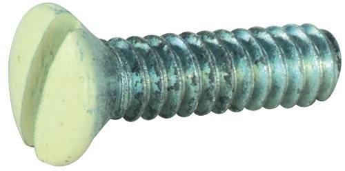 611571 Plate Screw, White (Pack of 100)