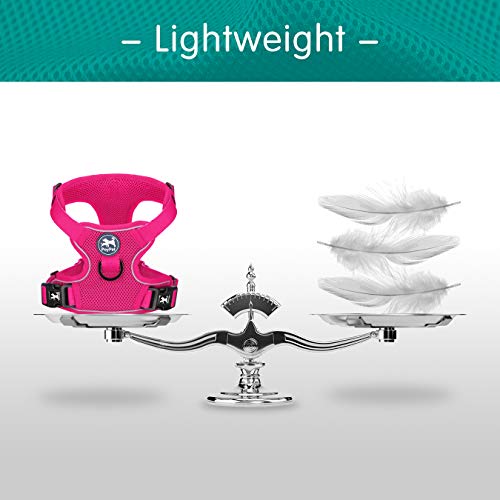 Poypet Reflective Soft Breathable Mesh Dog Harness No Choke Double Padded Vest Adjustable(Fuchsia,M) #TOP6