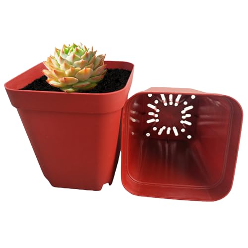 RooTrimmer Square Plastic Nursery Pots 3" 120Pcs Deep Succulent Pots Small Flower Planter Seeds Starter Germination Pots with Drainage (Brick Red,2.7Inches,120Pcs)