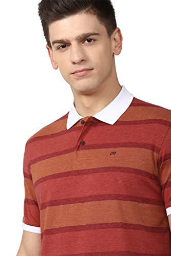Peter England Men's Regular Polo Shirt