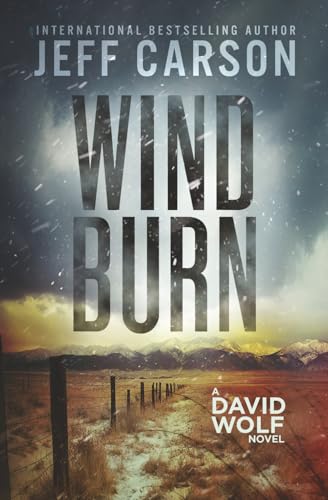 Wind Burn (David Wolf Mystery Thriller Series)