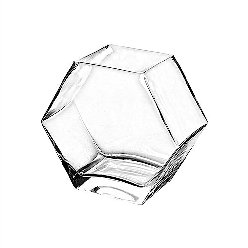 Aquarium hexagonal transparent pour petit espace sans encombrement
