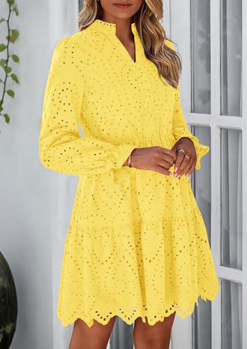 PRETTYGARDEN Women's Spring 2025 Long Puff Sleeve Mini Dress Hollow Out Lace V Neck A Line Ruffle Casual Party Dresses4