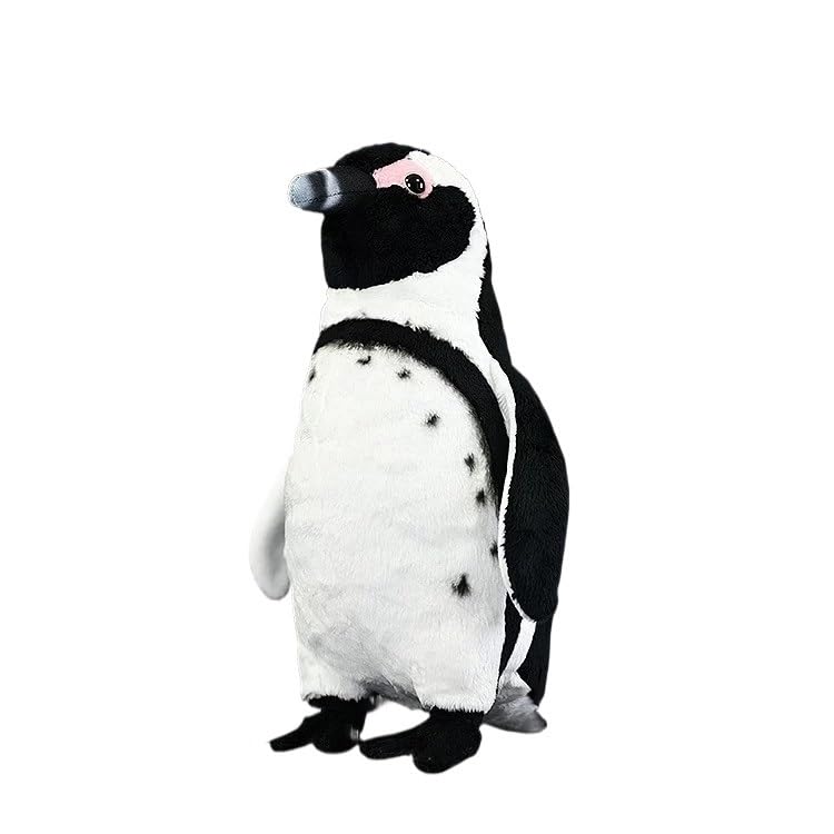 Peluche pingouin de Humboldt jouet éducatif anti-stress
