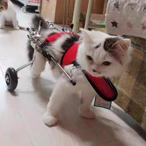 Carrito de 2 ruedas para mascotas en paseos al aire libre 2