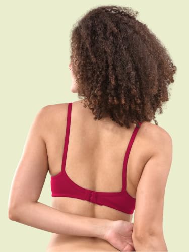 Image of Lyra Women Bra