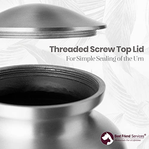 Best Friend Services Pet Urn - Ottillie Paws Legacy Memorial Pet Cremation Urns For Dogs And Cats Ashes Hand Carved Brass Memory Keepsake Urn (Slate, Horizontal Pewter Paws, Small) #TOP3