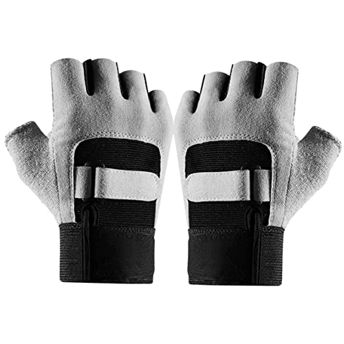 Dulcicasa 1yA tBbglXn[ttBK[O[u ? ʋCf W TCNO AEghAX|[cΉ