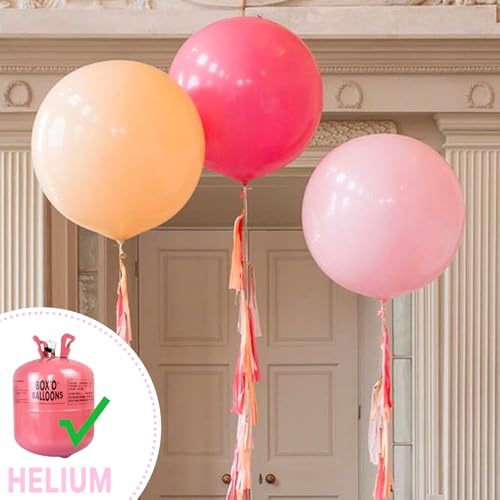 Image of PartyWoo Baby Pink Balloons 20pcs 18 Inch Pastel Pale Light Pink Latex Helium Balloons for Baby Shower Gender Reveal Easter Bachelorette Wedding Bridal Shower Birthday Party Decorations Pink-Q05
