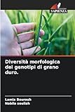 Edizioni Sapienza