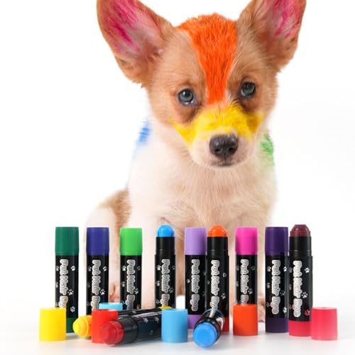 gifyym Pastel colorante Temporal para Pelo de Animales – Tinte Lavable a Base de Agua para Perros | Seguro y fácil para y Aseo