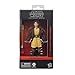 Star Wars The Black Series Yord Fandar Jedi Knight 6-inch Collection Figure The Acolyte