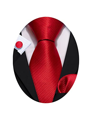 Barry.Wang Designer Classic Ties for Men Set
