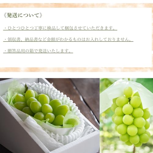 ノーブランド品 シャインマスカット 晴王 400g×2房 の商品画像 7