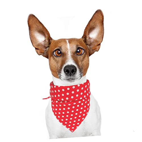 Angoily Hunde Halstuch Bandana Für Corgi Zwergspitz Doppelseitiges Angenehmes Haustierhalsband Mit Rundpunkten in Rot Für Halloween Und Täglich Hält Ihren Hund Sauber Und Attraktiv