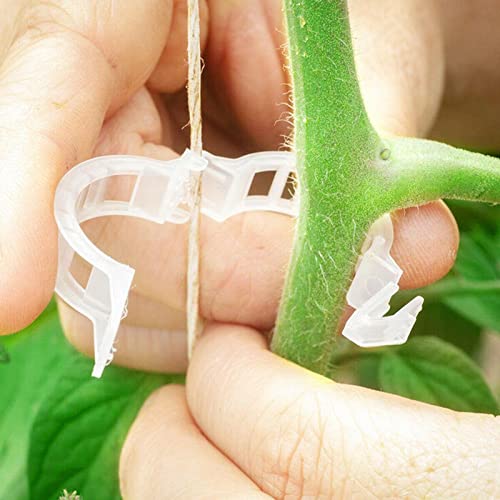 Ubersweet® 100 Pieces Garden Plant Support Clips Tomato Trellis Twine Greenhouse