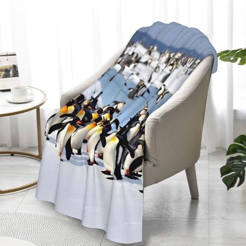 Couverture flanelle pingouin contre le froid du lit et canapé