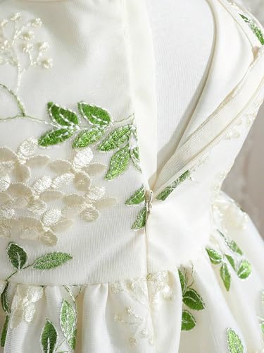 Image of Tagas Girls' Princess Dress | Girl Dress |Dresses birthdaydress for Babygirls | A-Line Knee-Length Dress