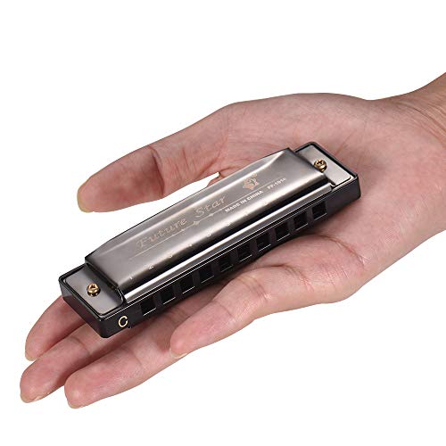 RuleaxAsi Chave de C Harmônica Diatonica Mouthorgan com Palhetas ABS Design da Superfície do Espelho