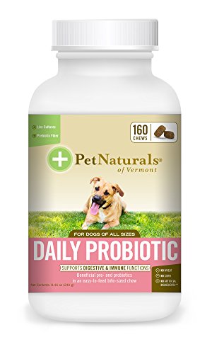 Pet Naturals® of Vermont Daily probiotiques pour Chiens, Complément Santé Digestive, 160 Bite de Taille à mastiquer