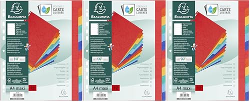 Intercalaires de classement Exacompta A4 maxi rigides 400g/m2