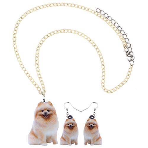 Joyas acrílicas para perros DUOWEI ideales para paseos diarios 5