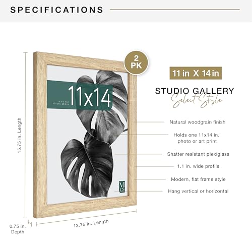 MCS Studio Gallery 11x14 Picture Frame Natural Woodgrain, Rectangle Photo Frame for Photos, Posters & Art Prints (2-Pack)