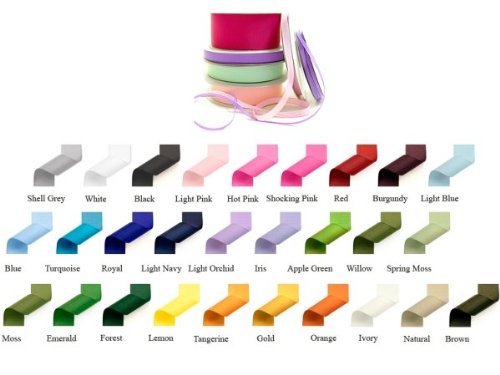 Papilion R074200090563100Y .38 in. Grosgrain Ribbon 100 Yards - Willow