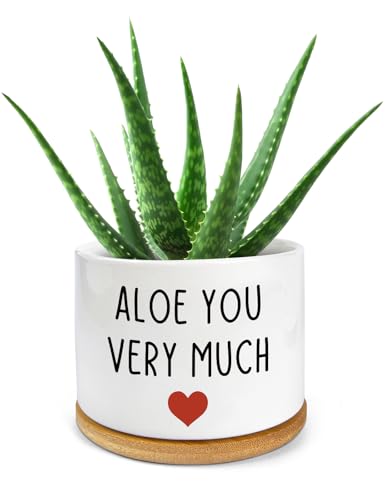 Comparison: Best Pot For Aloe 4 PWHINGN You Very Much- White Ceramic Engraved Mini Succulent Aloe Cactus Planter Pot, Funny Plant Pots Indoor Flower Plant Pots for Home Office Windowsill Levitating Plant Pot Gifts, 3.8 inch