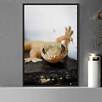 Framed Canvas Wall Art Reptile Contemporary Dramatic Hallway Iguana Multicolor Photography Reptiles - 16x24 inches
