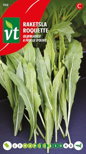 Roquette Pronto à feuille d'olive Graines - Vrai spécialité italienne