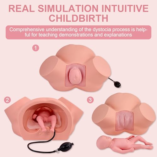 Image of Birth Midwifery Training Model Simulator, Life Size Midwifery Mannequin Childbirth Demonstration Obstetrics Gynecology Normal Abnormal Fetal Positions Delivery Maternity Manikin for Teaching Medical